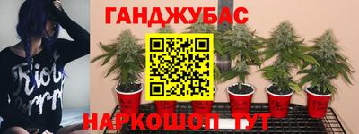 шишки Кунгур